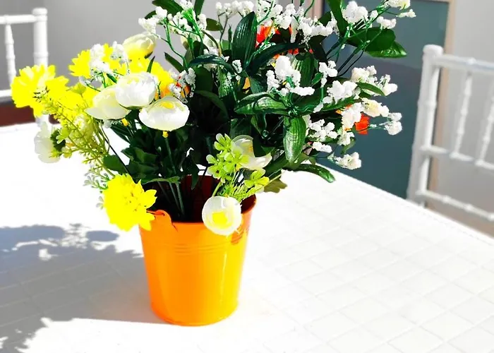 Stellina In Centro Sweet *