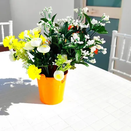 Stellina In Centro Sweet *