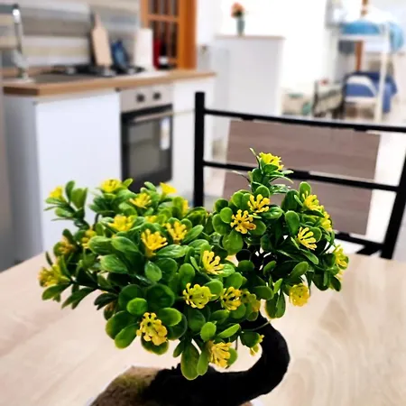 Stellina In Centro Sweet