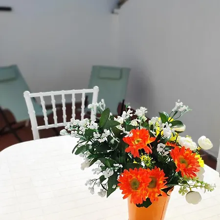 Apartment Stellina In Centro Sweet Vasto