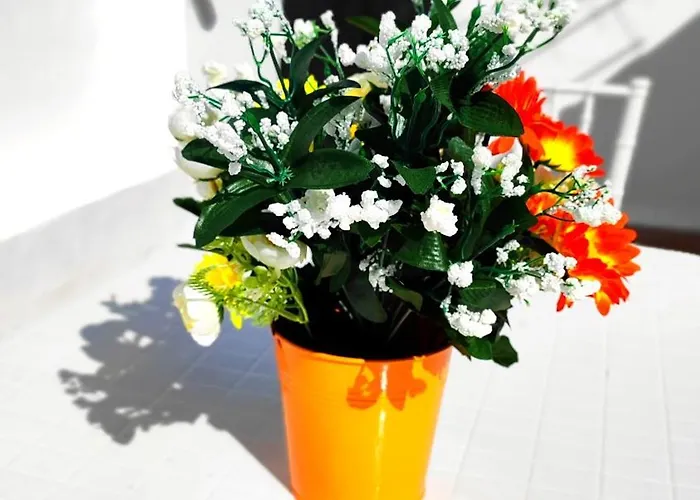 Stellina In Centro Sweet Apartment