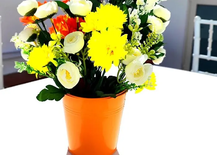 Stellina In Centro Sweet Vasto