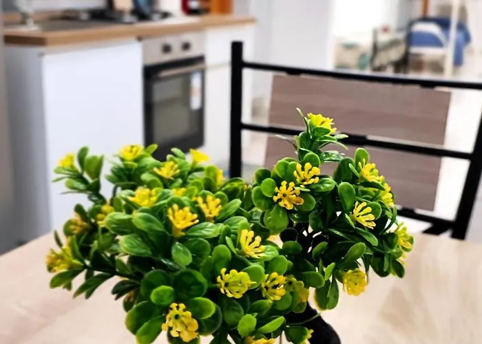 Stellina In Centro Sweet